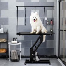 Extra Large Hydraulic Pet Dog