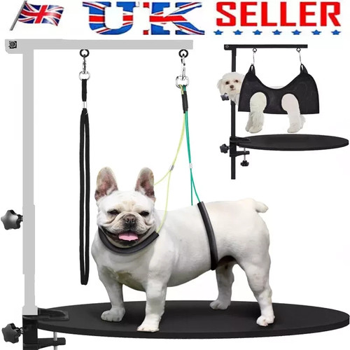 Foldable dog grooming table - grooming,