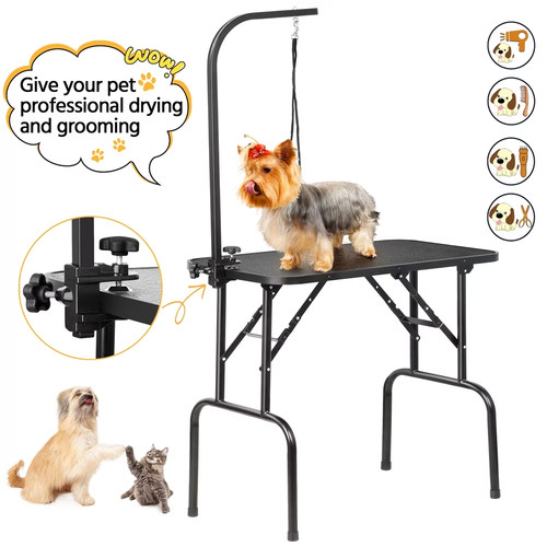Renwick professional - professional, 32"