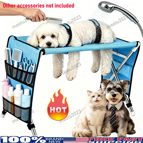 Pet grooming bath - pet, table