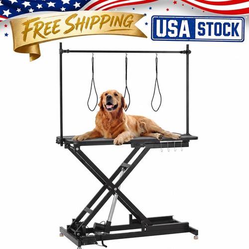 Professional electric dog - professional, pet