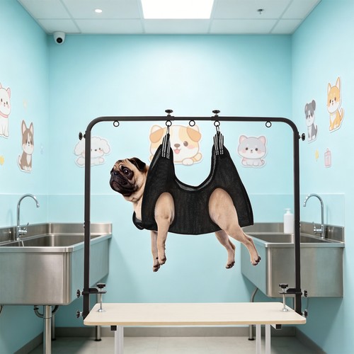 Dog grooming table - grooming,