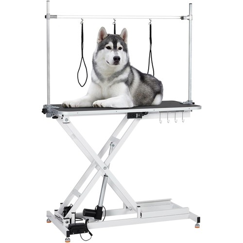 Professional electric dog - professional,