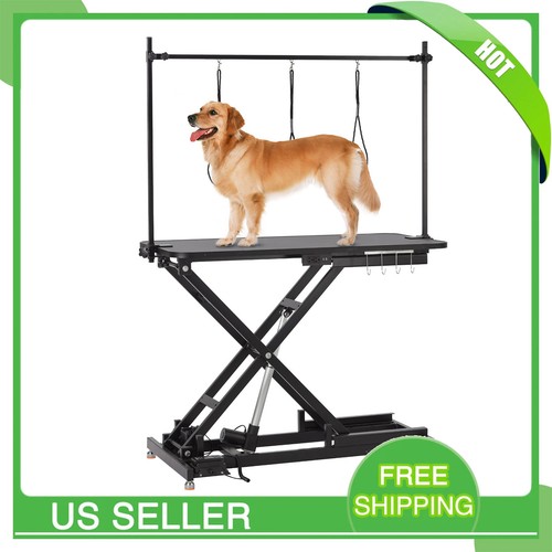 Professional dog grooming - professional,