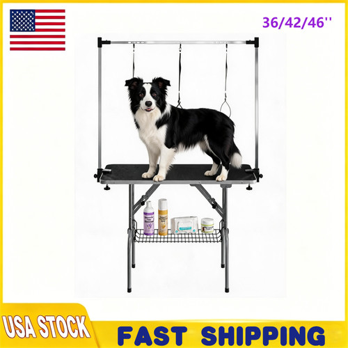 Professional dog pet - dog,