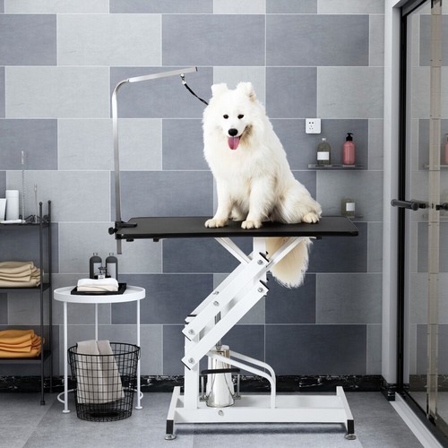 Hydraulic dog pet grooming - pet,