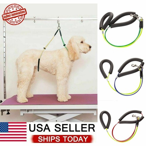 Pet dog grooming table - dog,
