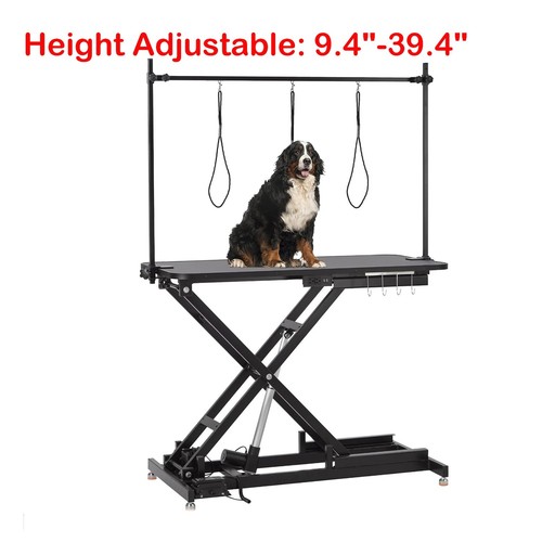 Professional electric dog - professional,
