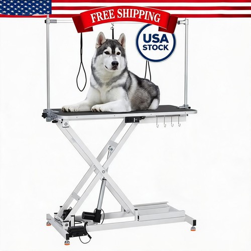 Professional electric dog - professional,