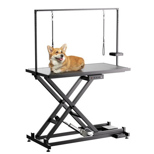 Professional electric dog - professional,