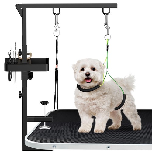 Alytree dog grooming - dog, with