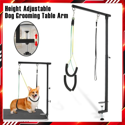 Dog grooming table - table, arm