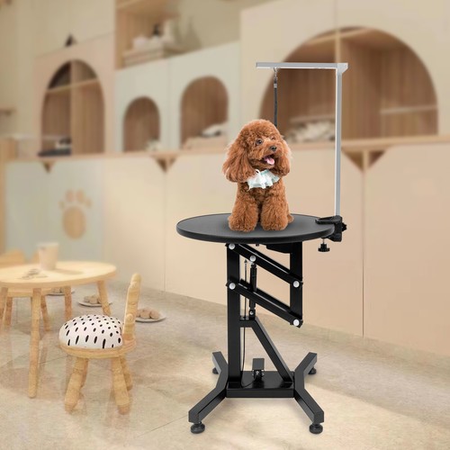 Electric lift dog grooming - lift,