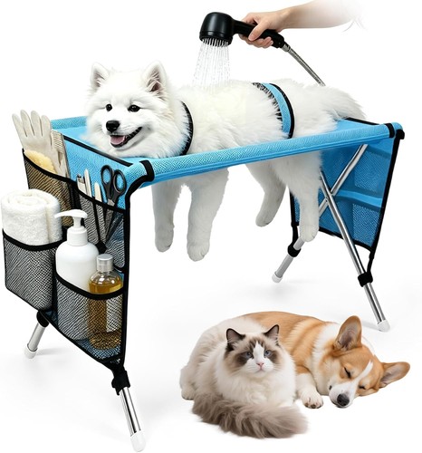 New update dog - update,