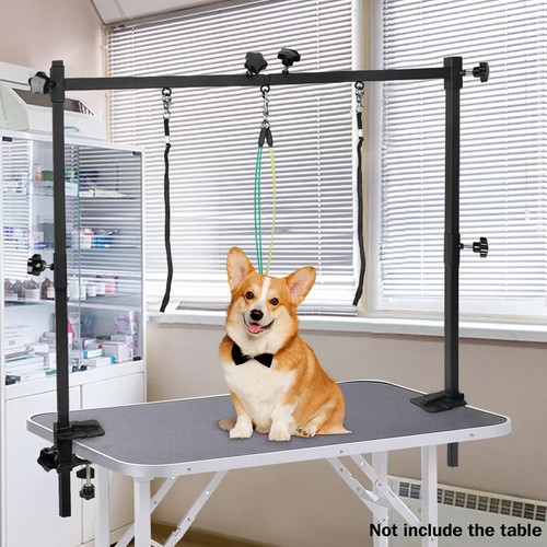 Dog pet grooming - pet, table