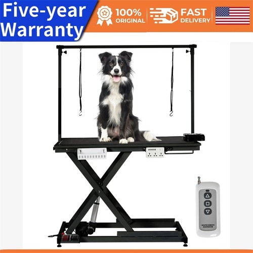 Professional electric dog - professional,