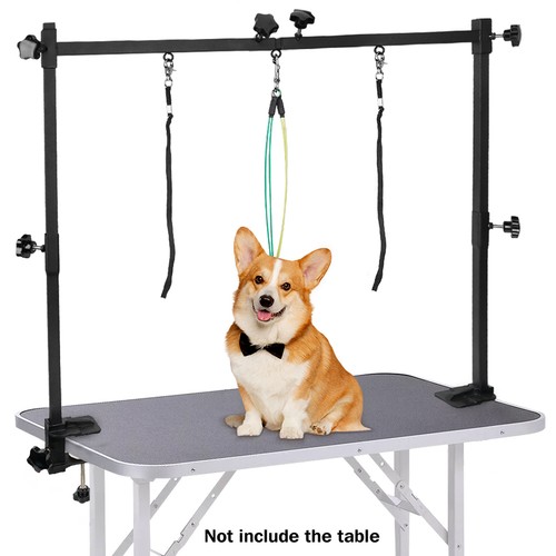 Dog pet grooming - dog,