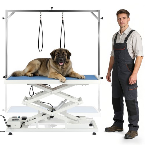 Electric lift heavy - lift,