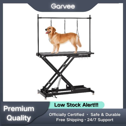 Electric dog grooming - dog,