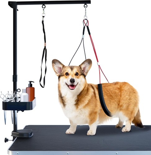 Pet grooming arm height - pet,