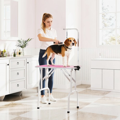 Dog grooming table - grooming,