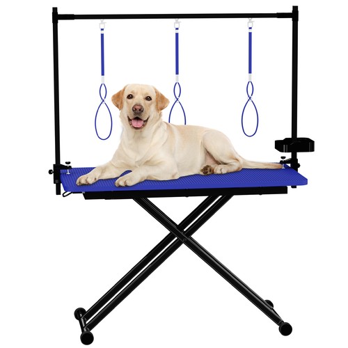 Blue lift foldable - foldable, dog