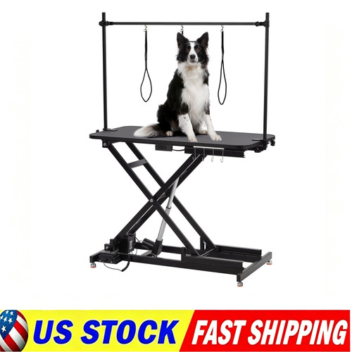 Professional dog grooming - dog,