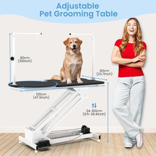 Inch heavy duty dog - inch, pet
