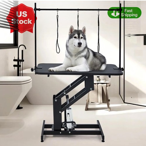 Dog grooming table - dog,