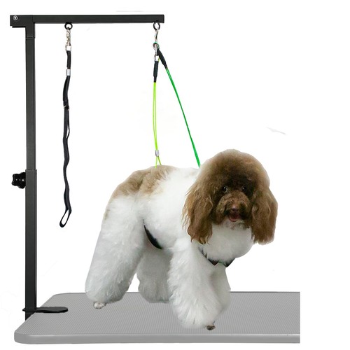 Dog grooming table - table, clamp