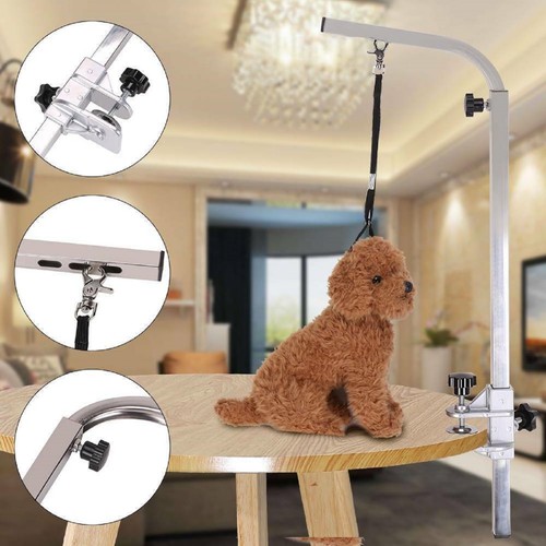 Pet dog grooming - pet, non